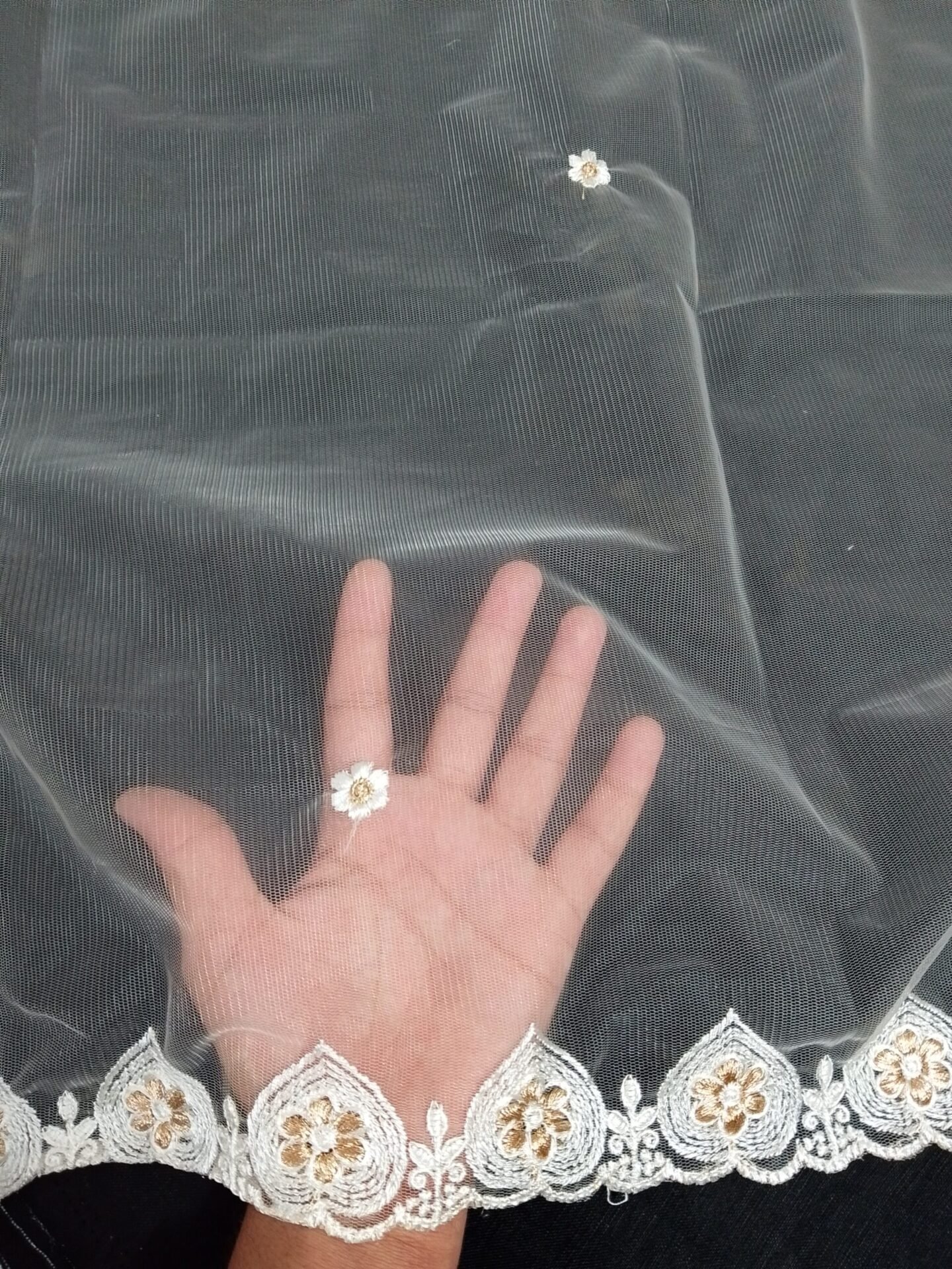 net dupatta 3190515 (2)