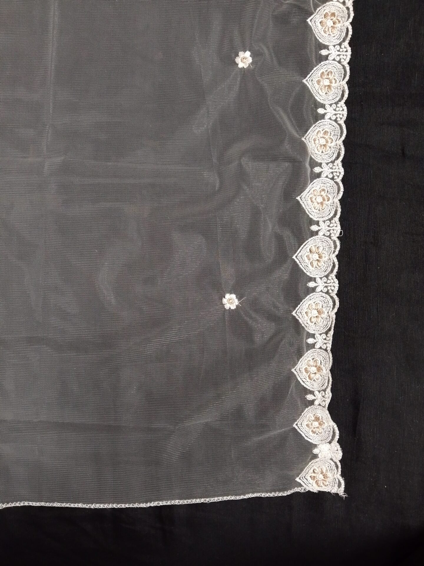 net dupatta 3190515 (4)