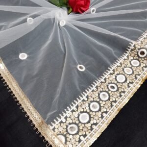 net dupatta 3625526 (1)