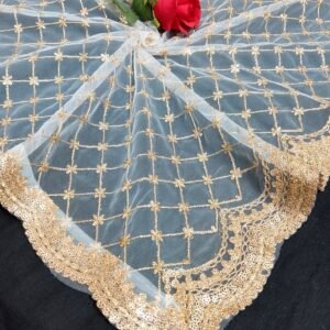 net dupatta 3650527 (1)