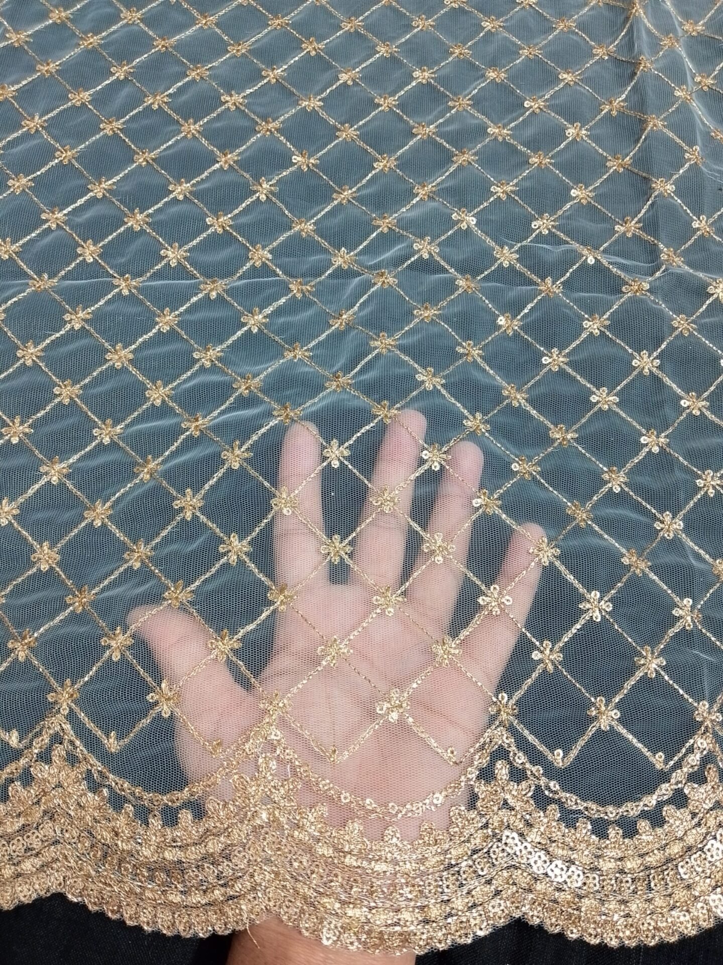 net dupatta 3650527 (2)