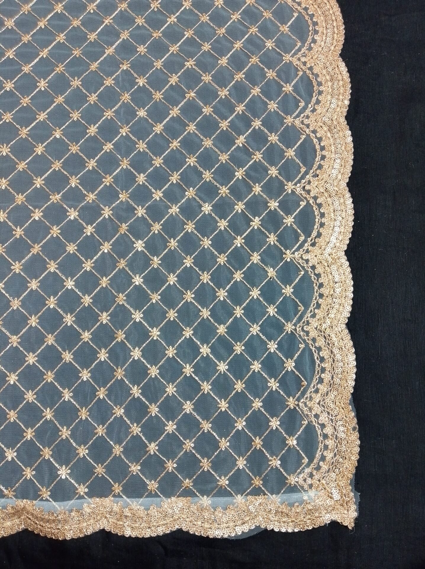 net dupatta 3650527 (4)