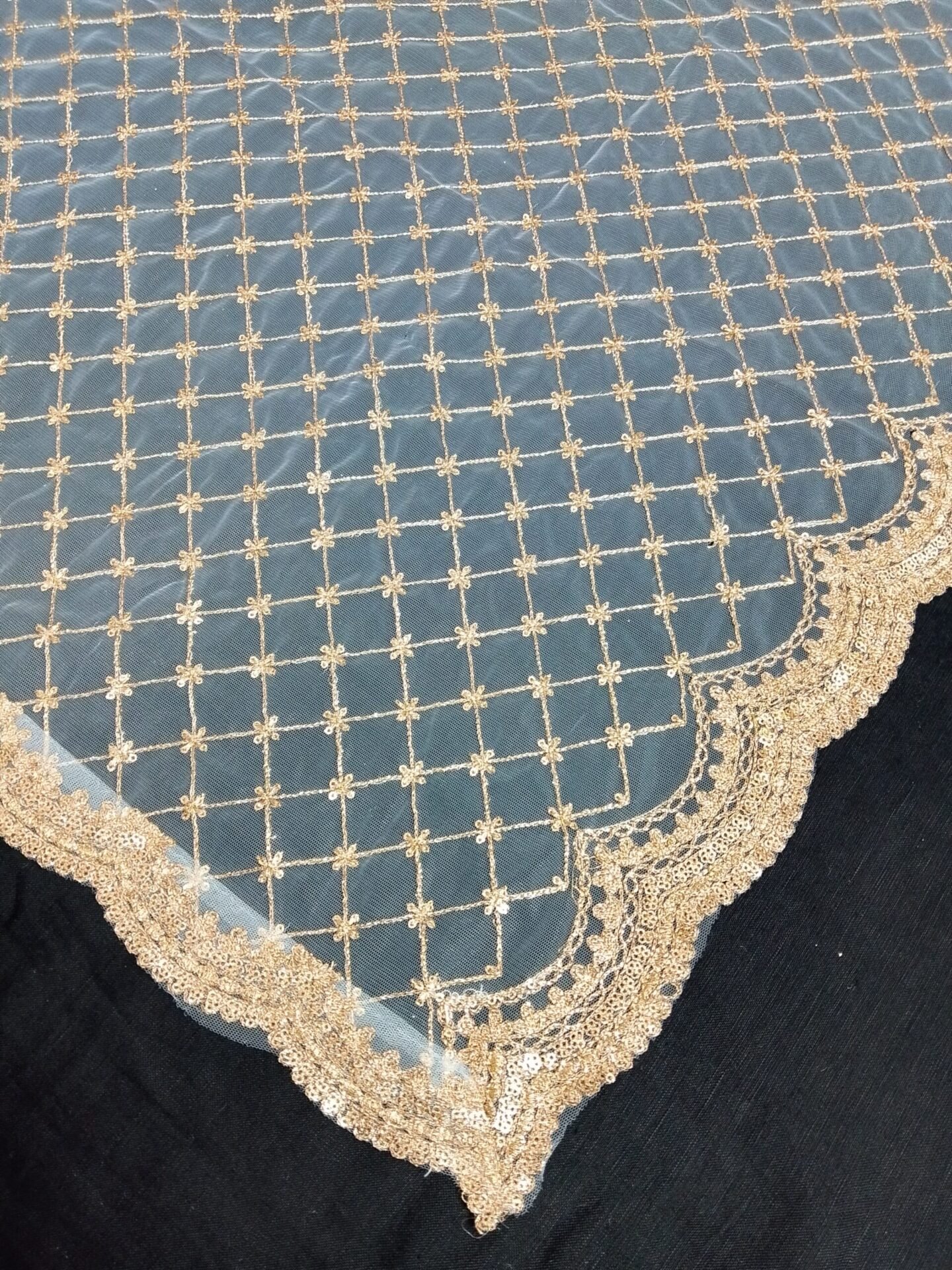 net dupatta 3650527 (5)